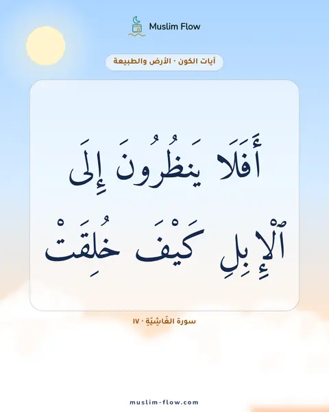 سورة الغَاشِيَةِ · ١٧: أَفَلَا يَنظُرُونَ إِلَى ٱلْإِبِلِ كَيْفَ خُلِقَتْ