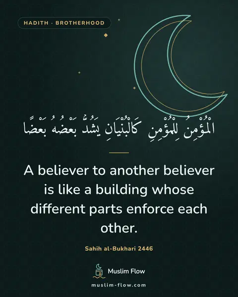 Sahih al-Bukhari 2446: A believer to another believer is like a building whose different parts enforce each other.