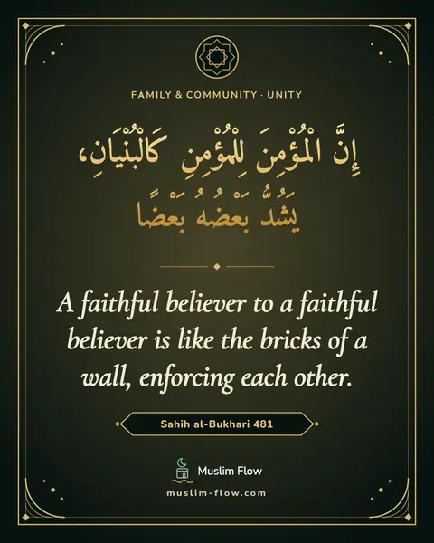 Sahih al-Bukhari 481: A faithful believer to a faithful believer is like the bricks of a wall, enforcing each other.