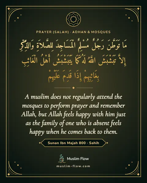 Sunan Ibn Majah 800 · Sahih: A muslim does not regularly attend the mosques to perform prayer and remember Allah, but Allah…