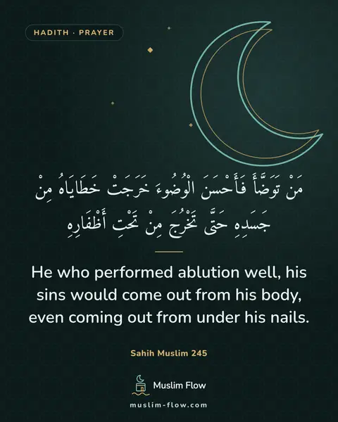Sahih Muslim 245: He who performed ablution well, his sins would come out from his body, even coming out from under…