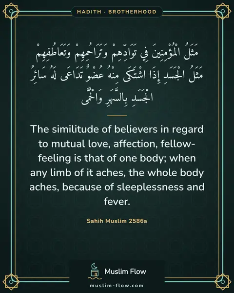 Sahih Muslim 2586a: The similitude of believers in regard to mutual love, affection, fellow-feeling is that of one…