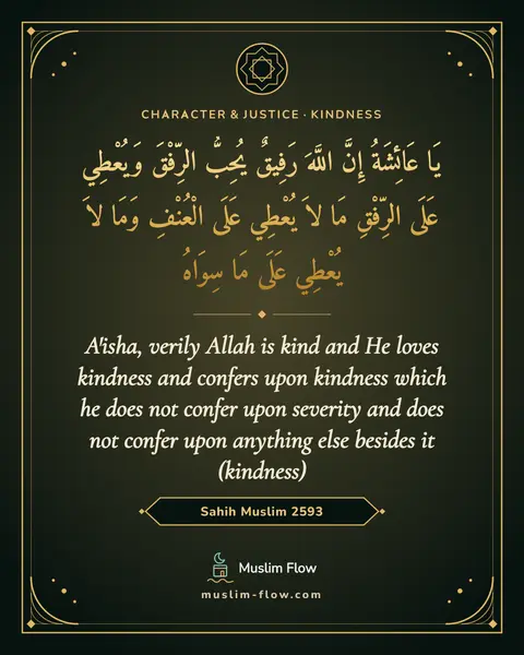 Sahih Muslim 2593: A'isha, verily Allah is kind and He loves kindness and confers upon kindness which he does not…