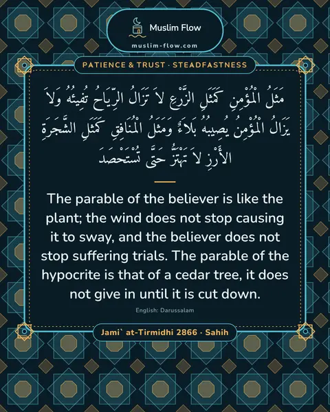 Jami` at-Tirmidhi 2866 · Sahih: The parable of the believer is like the plant; the wind does not stop causing it to sway, and the…