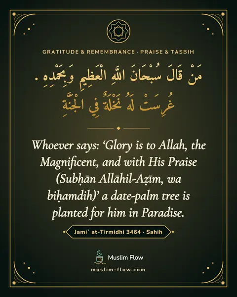 Jami` at-Tirmidhi 3464 · Sahih: Whoever says: ‘Glory is to Allah, the Magnificent, and with His Praise (Subḥān Allāhil-Aẓīm, wa…