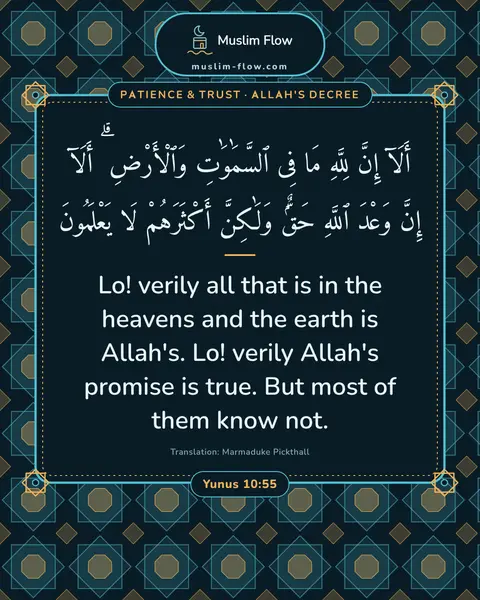 Yunus 10:55: Lo! verily all that is in the heavens and the earth is Allah's. Lo! verily Allah's promise is true…
