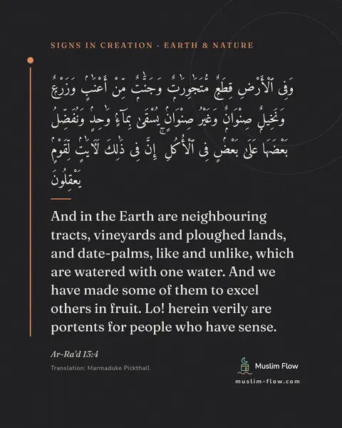 Ar-Ra'd 13:4: And in the Earth are neighbouring tracts, vineyards and ploughed lands, and date-palms, like and…