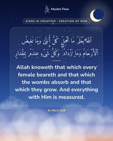 Ar-Ra'd 13:8: Allah knoweth that which every female beareth and that which the wombs absorb and that which they…