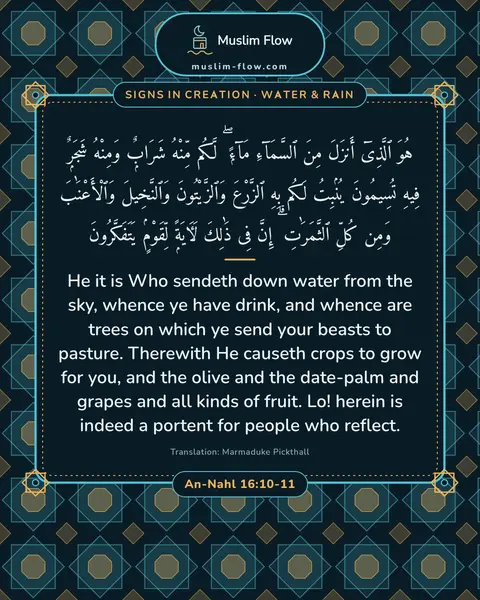 An-Nahl 16:10-11: He it is Who sendeth down water from the sky, whence ye have drink, and whence are trees on which…