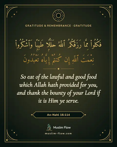 An-Nahl 16:114: So eat of the lawful and good food which Allah hath provided for you, and thank the bounty of your…