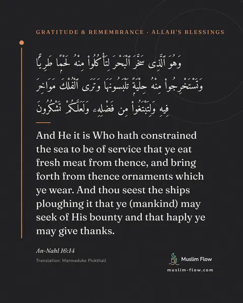 An-Nahl 16:14: And He it is Who hath constrained the sea to be of service that ye eat fresh meat from thence, and…