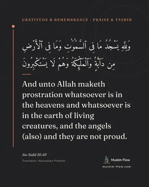 An-Nahl 16:49: And unto Allah maketh prostration whatsoever is in the heavens and whatsoever is in the earth of…