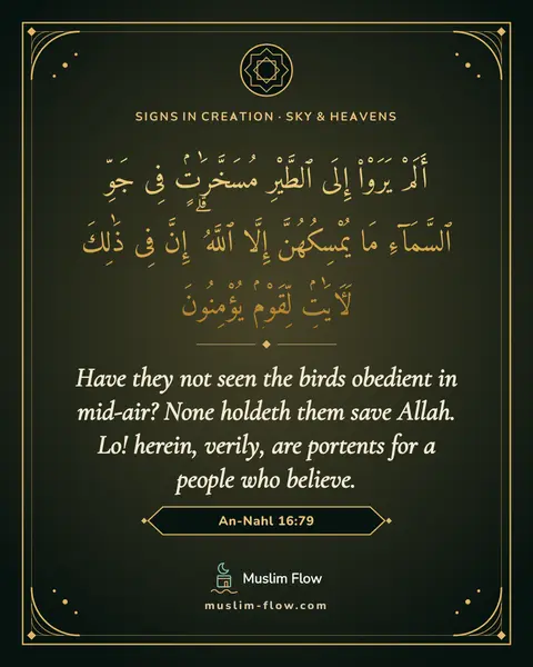 An-Nahl 16:79: Have they not seen the birds obedient in mid-air? None holdeth them save Allah. Lo! herein, verily…