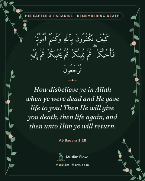 Al-Baqara 2:28: How disbelieve ye in Allah when ye were dead and He gave life to you! Then He will give you death…