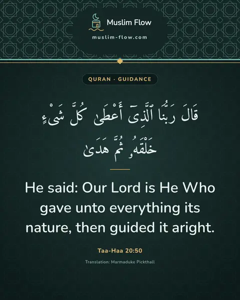 Taa-Haa 20:50: He said: Our Lord is He Who gave unto everything its nature, then guided it aright.