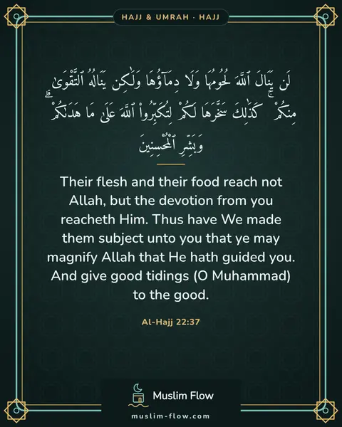 Al-Hajj 22:37: Their flesh and their food reach not Allah, but the devotion from you reacheth Him. Thus have We…