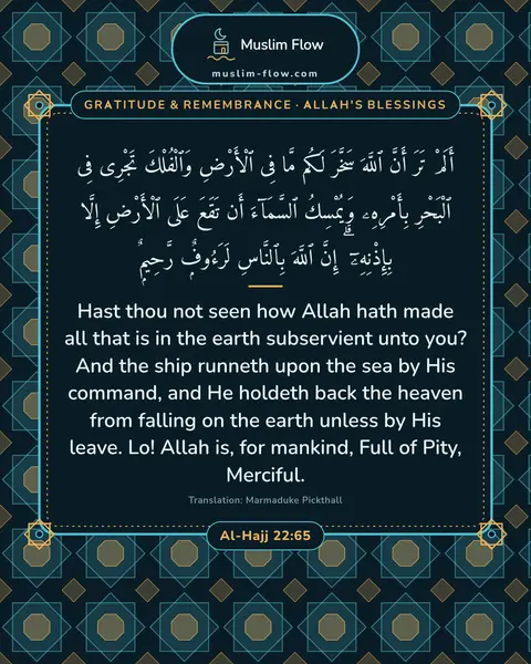 Al-Hajj 22:65: Hast thou not seen how Allah hath made all that is in the earth subservient unto you? And the ship…