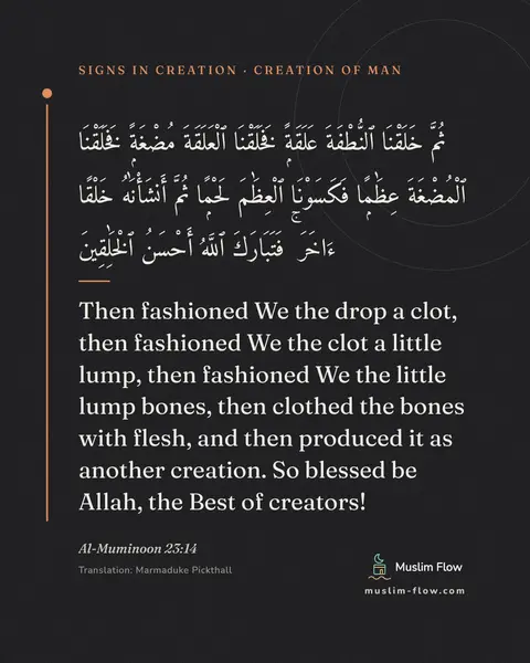 Al-Muminoon 23:14: Then fashioned We the drop a clot, then fashioned We the clot a little lump, then fashioned We the…