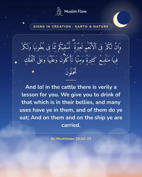 Al-Muminoon 23:21-22: And lo! in the cattle there is verily a lesson for you. We give you to drink of that which is in…
