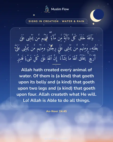 An-Noor 24:45: Allah hath created every animal of water. Of them is (a kind) that goeth upon its belly and (a…