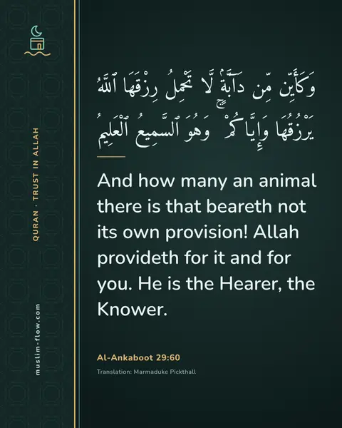Al-Ankaboot 29:60: And how many an animal there is that beareth not its own provision! Allah provideth for it and for…