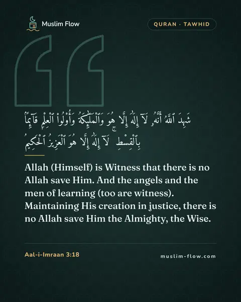 Aal-i-Imraan 3:18: Allah (Himself) is Witness that there is no Allah save Him. And the angels and the men of learning…