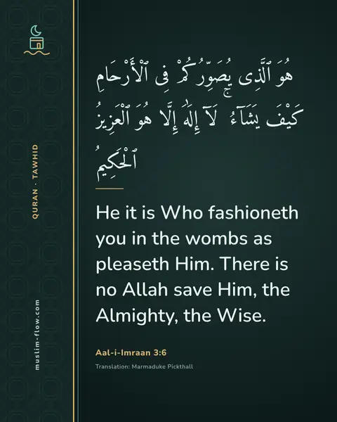 Aal-i-Imraan 3:6: He it is Who fashioneth you in the wombs as pleaseth Him. There is no Allah save Him, the Almighty…