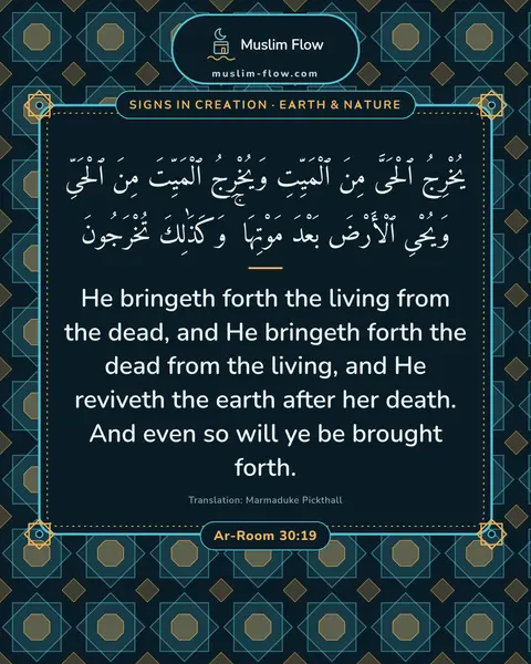Ar-Room 30:19: He bringeth forth the living from the dead, and He bringeth forth the dead from the living, and He…