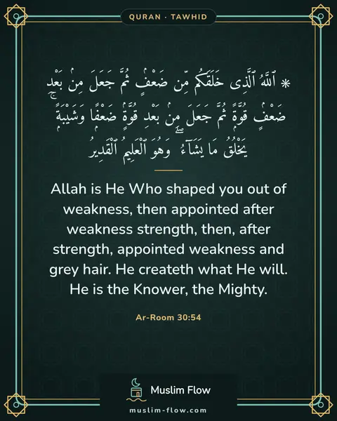 Ar-Room 30:54: Allah is He Who shaped you out of weakness, then appointed after weakness strength, then, after…