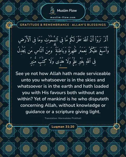Luqman 31:20: See ye not how Allah hath made serviceable unto you whatsoever is in the skies and whatsoever is in…