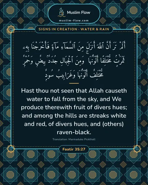Faatir 35:27: Hast thou not seen that Allah causeth water to fall from the sky, and We produce therewith fruit of…