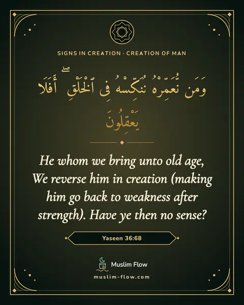 Yaseen 36:68: He whom we bring unto old age, We reverse him in creation (making him go back to weakness after…