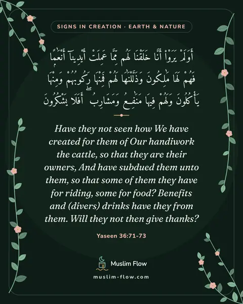 Yaseen 36:71-73: Have they not seen how We have created for them of Our handiwork the cattle, so that they are their…