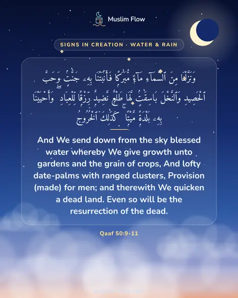 Qaaf 50:9-11: And We send down from the sky blessed water whereby We give growth unto gardens and the grain of…