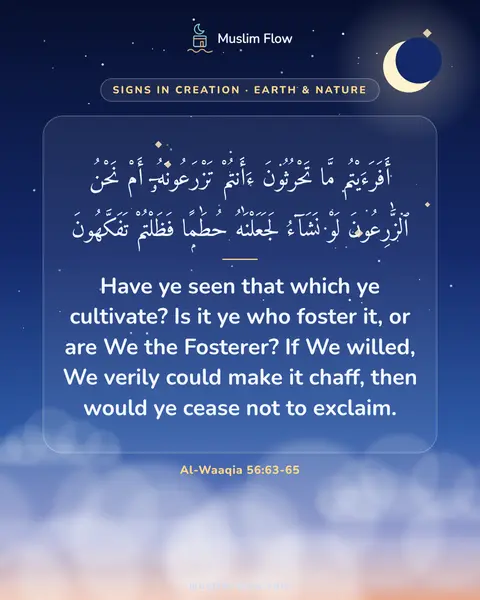 Al-Waaqia 56:63-65: Have ye seen that which ye cultivate? Is it ye who foster it, or are We the Fosterer? If We willed…