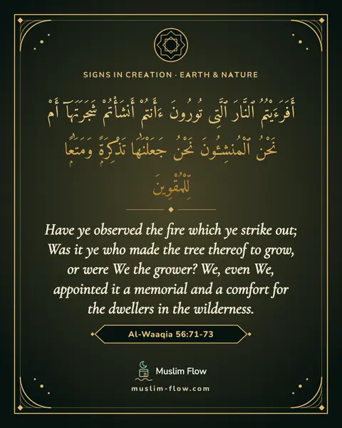 Al-Waaqia 56:71-73: Have ye observed the fire which ye strike out; Was it ye who made the tree thereof to grow, or were…