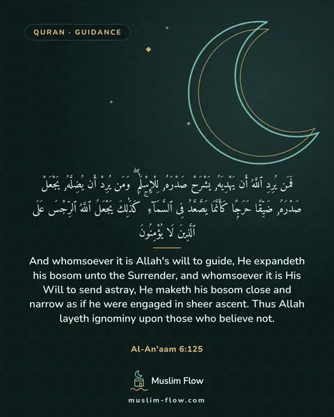 Al-An'aam 6:125: And whomsoever it is Allah's will to guide, He expandeth his bosom unto the Surrender, and…