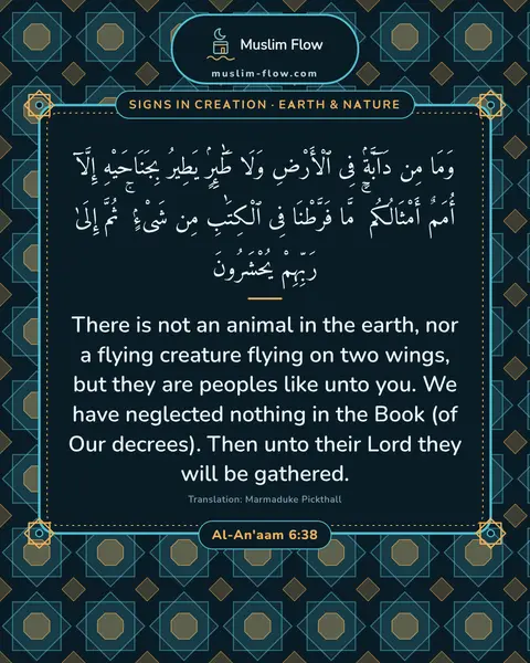 Al-An'aam 6:38: There is not an animal in the earth, nor a flying creature flying on two wings, but they are…