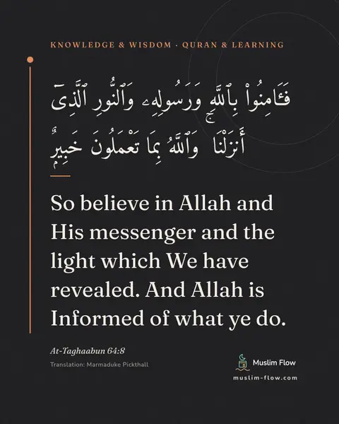 At-Taghaabun 64:8: So believe in Allah and His messenger and the light which We have revealed. And Allah is Informed…