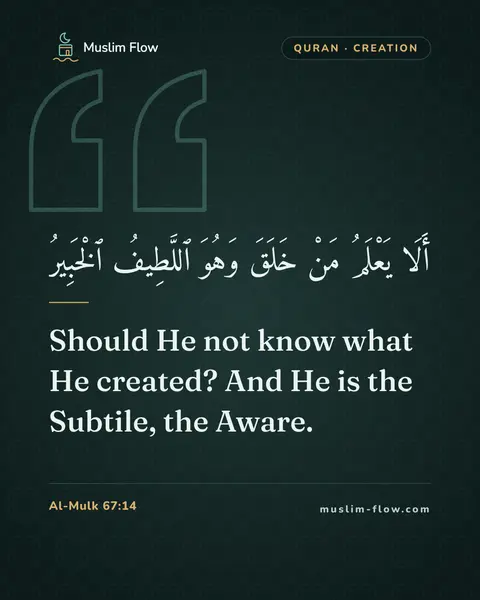 Al-Mulk 67:14: Should He not know what He created? And He is the Subtile, the Aware.