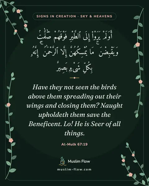 Al-Mulk 67:19: Have they not seen the birds above them spreading out their wings and closing them? Naught…