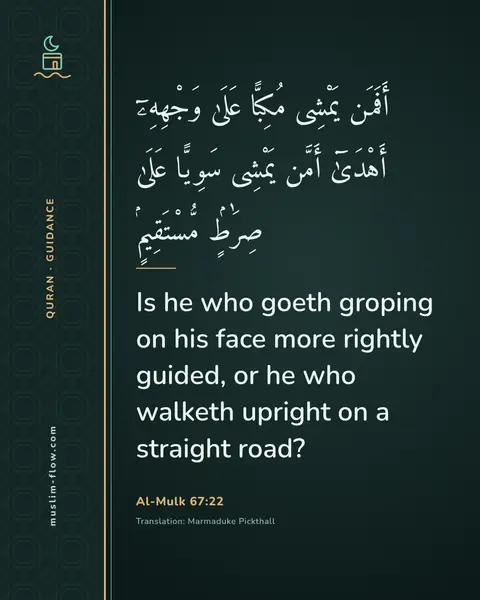 Al-Mulk 67:22: Is he who goeth groping on his face more rightly guided, or he who walketh upright on a straight…