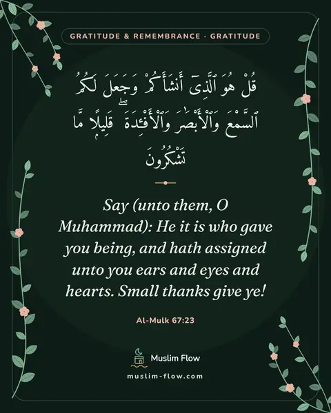 Al-Mulk 67:23: Say (unto them, O Muhammad): He it is who gave you being, and hath assigned unto you ears and eyes…