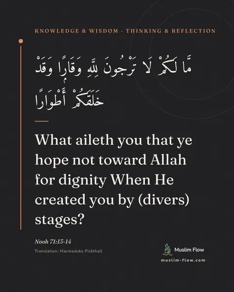 Nooh 71:13-14: What aileth you that ye hope not toward Allah for dignity When He created you by (divers) stages?