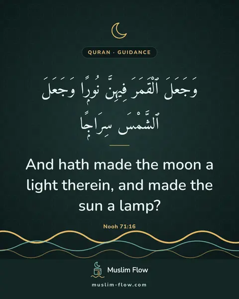 Nooh 71:16: And hath made the moon a light therein, and made the sun a lamp?