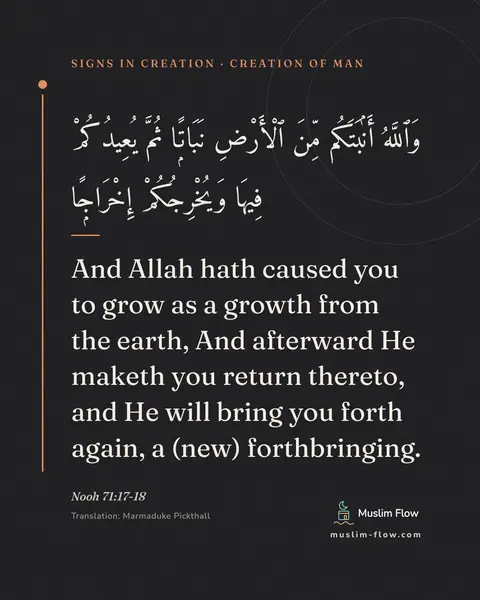 Nooh 71:17-18: And Allah hath caused you to grow as a growth from the earth, And afterward He maketh you return…