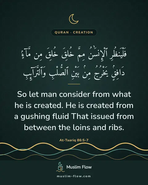At-Taariq 86:5-7: So let man consider from what he is created. He is created from a gushing fluid That issued from…