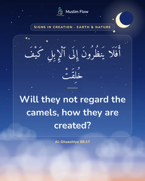 Al-Ghaashiya 88:17: Will they not regard the camels, how they are created?