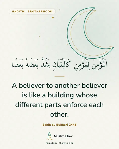 Sahih al-Bukhari 2446: A believer to another believer is like a building whose different parts enforce each other.