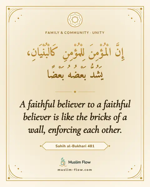 Sahih al-Bukhari 481: A faithful believer to a faithful believer is like the bricks of a wall, enforcing each other.